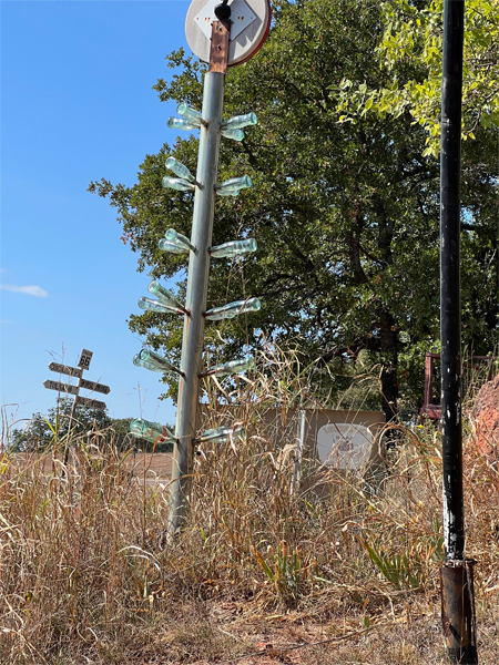 Coca-Cola bottle tree