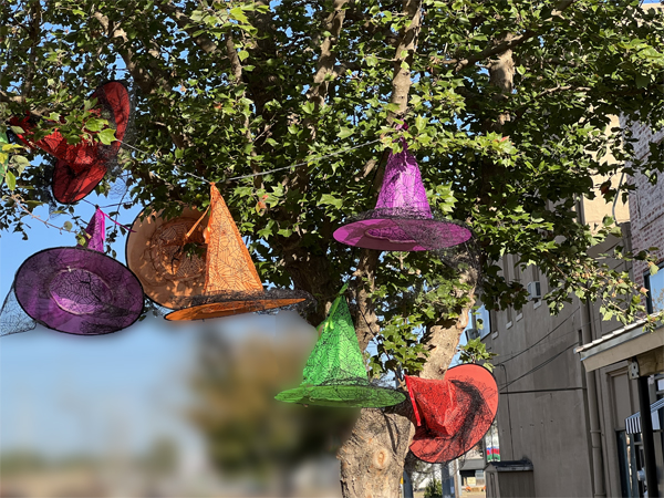 witch hats in a tree