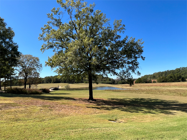 grounds outside Independence Hall