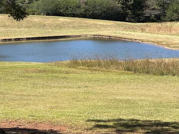 pond outside Independence Hall