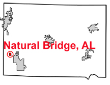Winston County map showing Natural Bridge Alabama