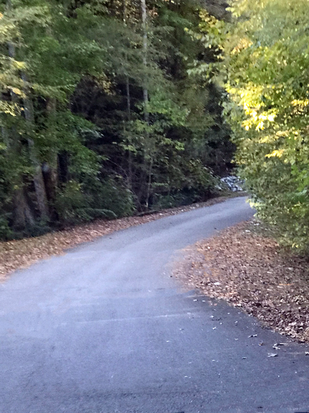 The road to the Natural Bridge office store