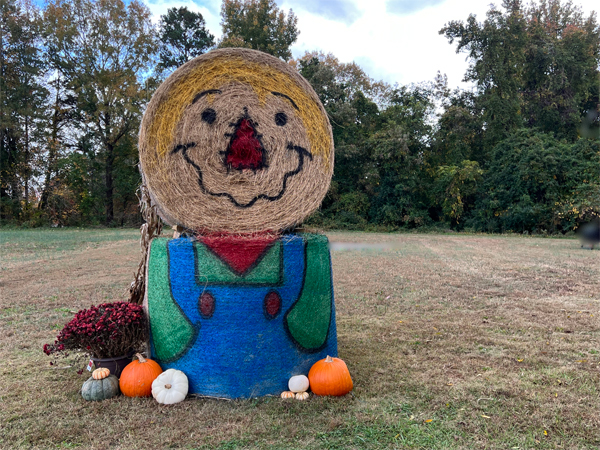 Halloween Hay Bale