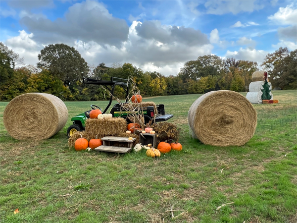 Halloween Hay Bale