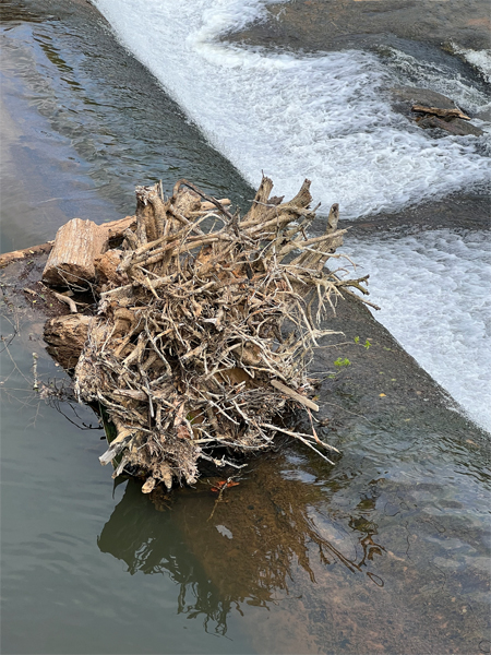 logs on top of the waterfall