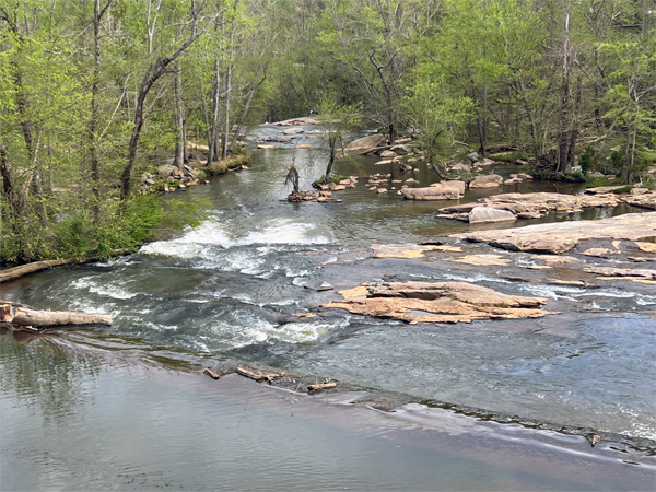 view from the bridge at Glendale Shoals