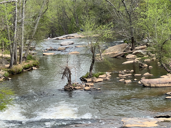 view from the bridge at Glendale Shoals