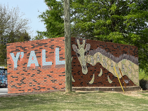 Bananas Giraffe on a wall