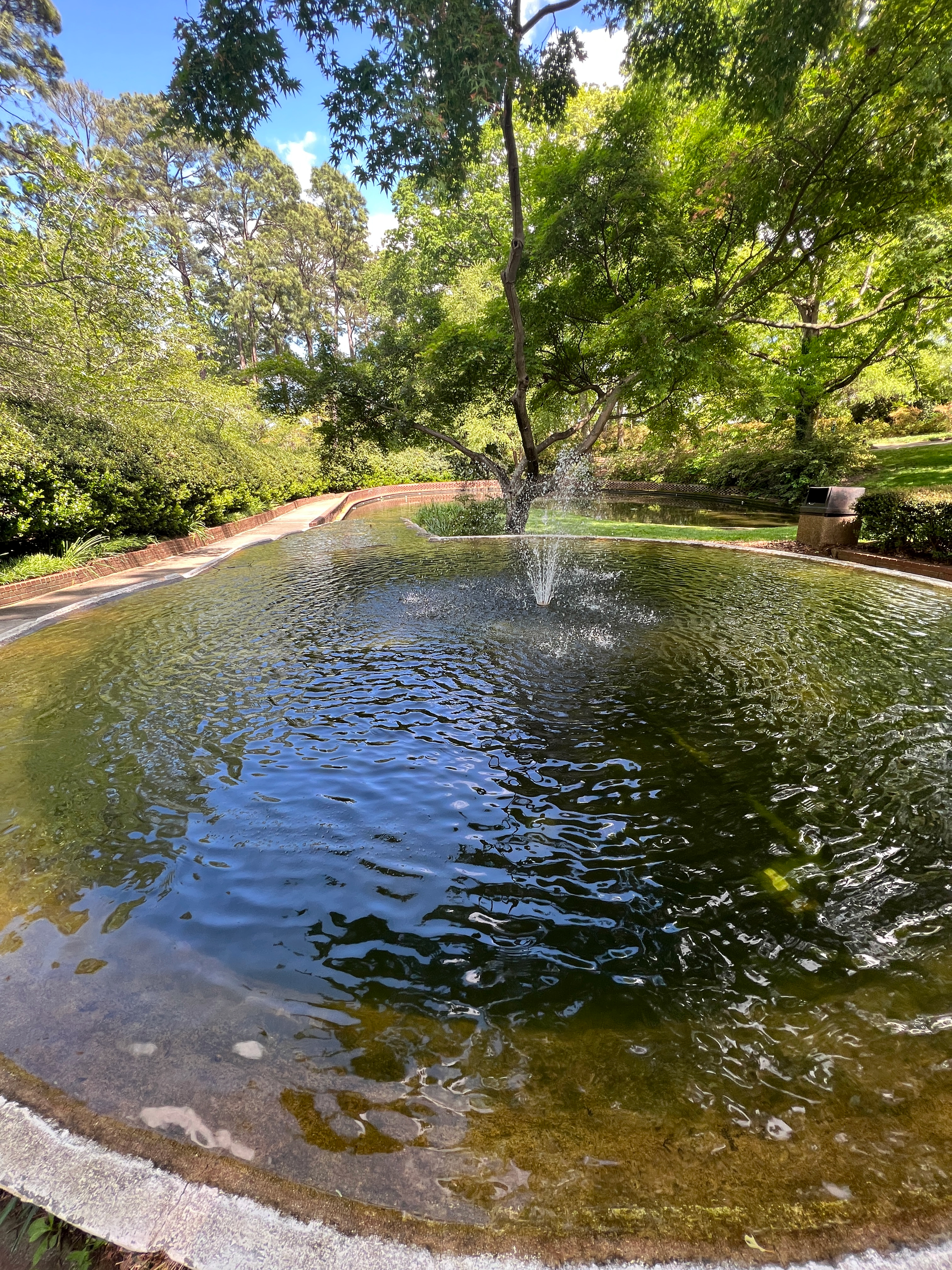 fountain