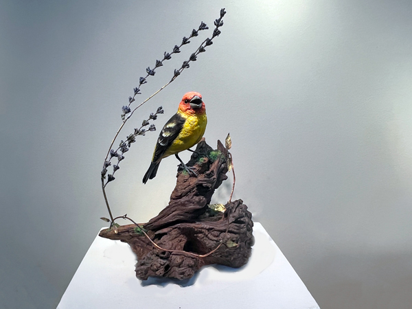 bird by Chris Wilson