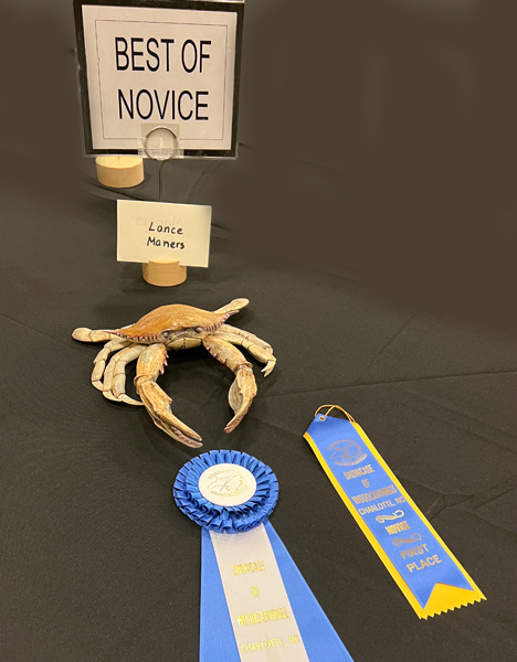 Best of Novice crab