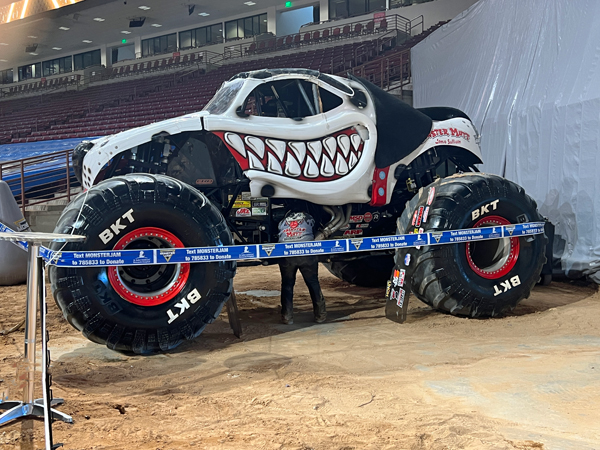 Monster Mutt Dalmatian