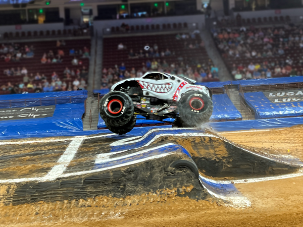 Monster Mutt Dalmatian