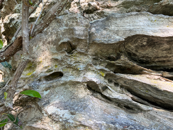 cave close-ups