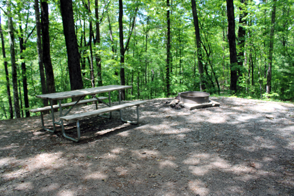 picnic table and campfire ring