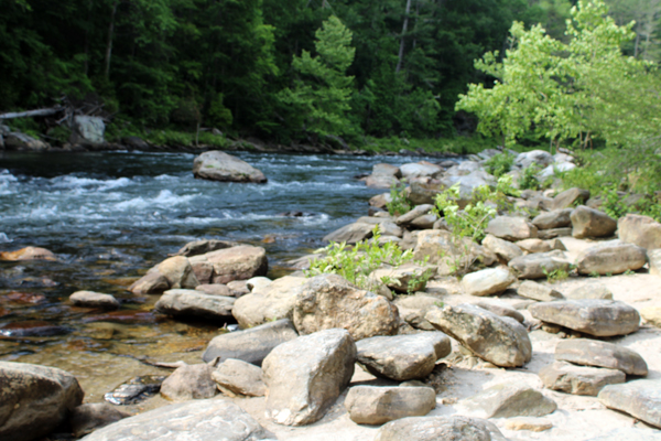 bottom of the falls