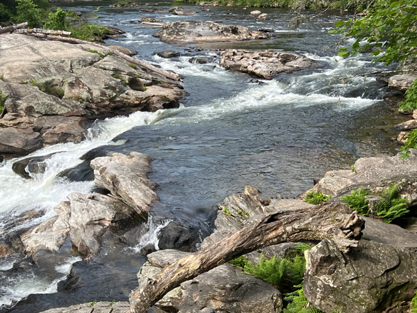 Chattooga River