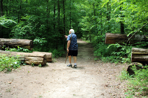 Lee Duquette and more fallen trees