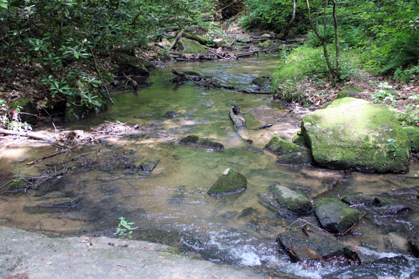 the stream