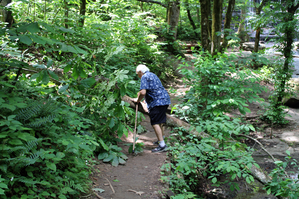 Lee Duquette climbing over a fallen tree