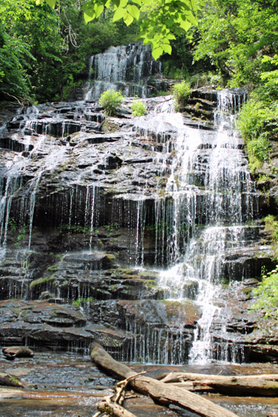 Station Cove Falls