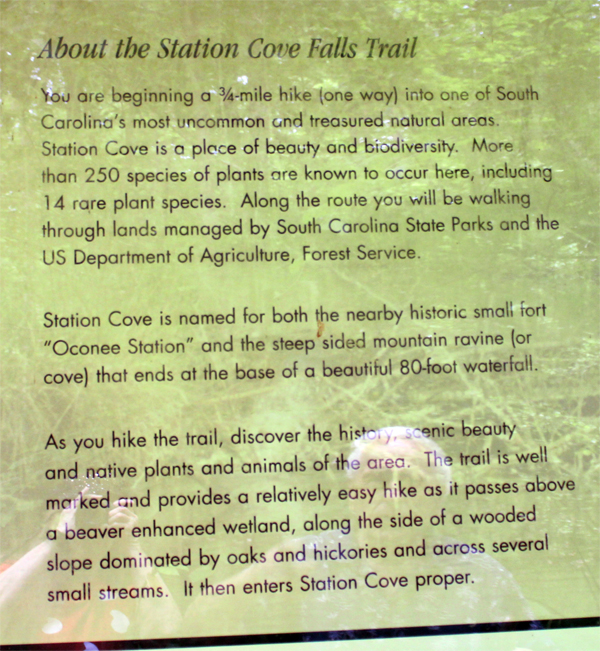 Station Cove Falls information