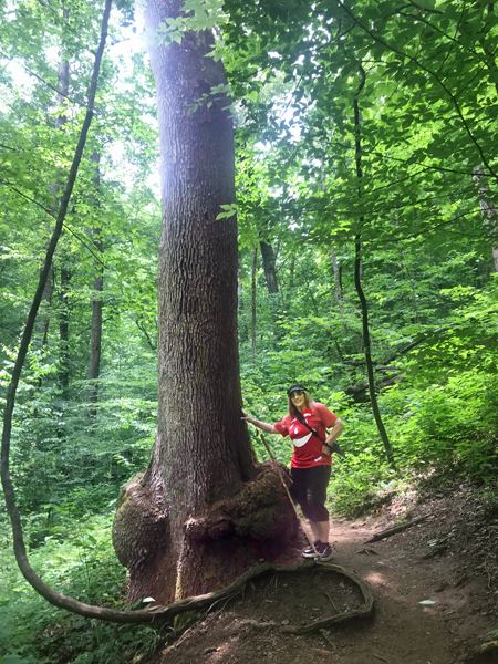 Karen Duquette by a big burl at the bottom of a very tall tree