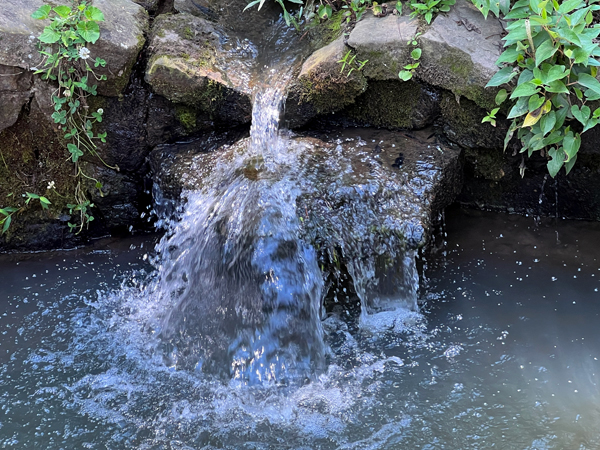 small pond and water fall