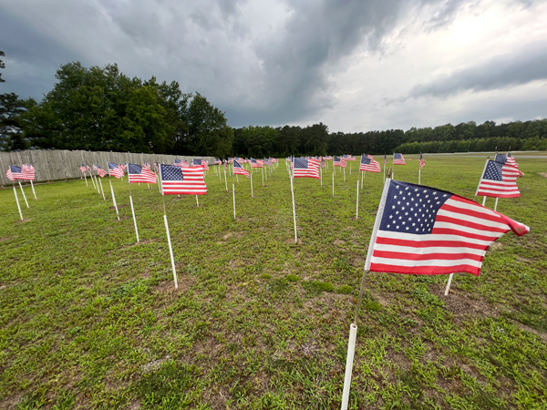 Field of Flags