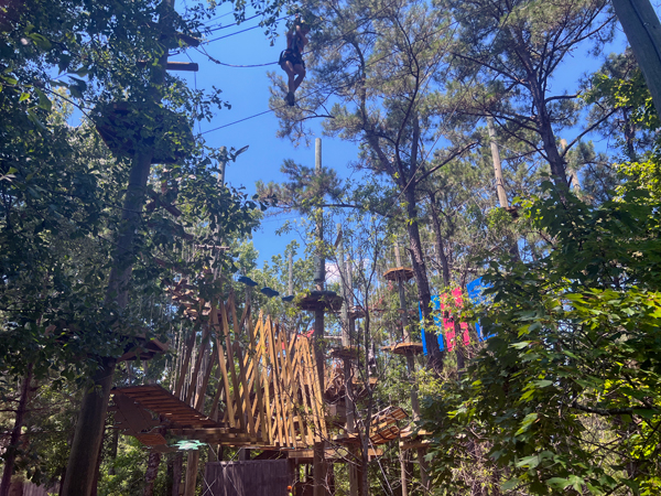 Aerial Adventure Section