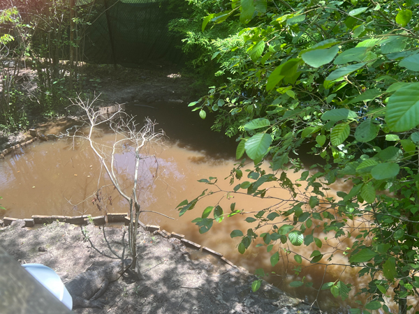 first view from teh trail