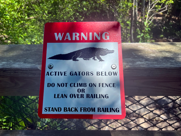 Alligator warning sign