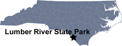 NC map showing location of Lumber River State Park