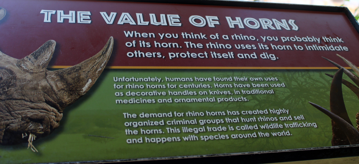 sign about Rhinoceros horns