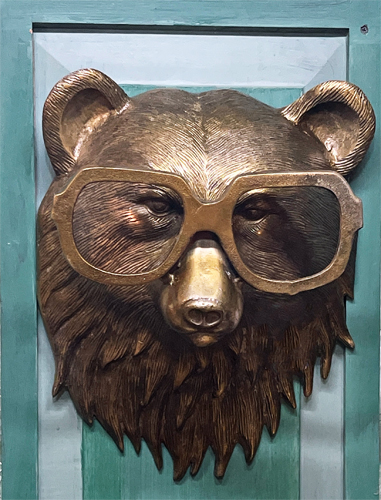 bear with glasses