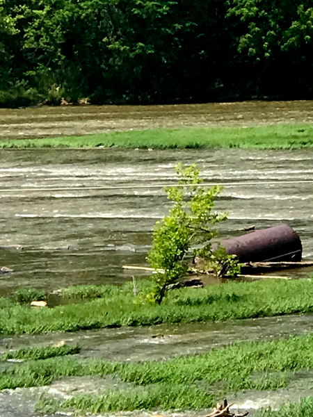 a barrel caught in the river stream