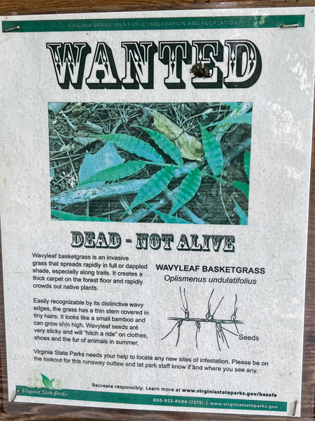 wanted dead - NOT alive sign