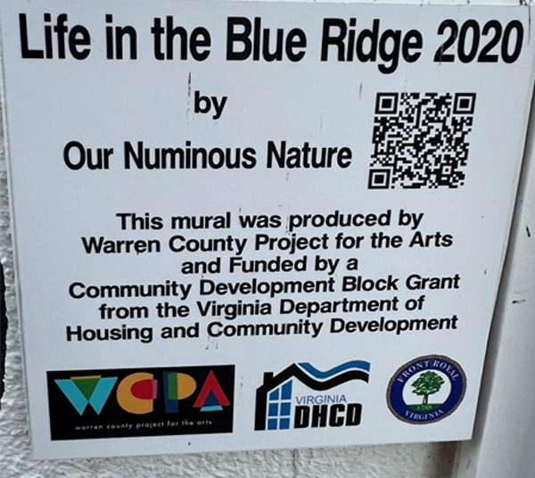 Life in the Blue Ridge 2020 sign