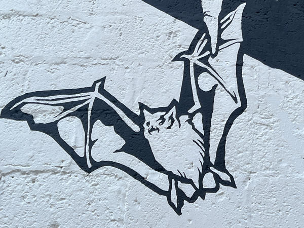 bat