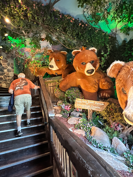 bears from the Rose Bowl Parade and Lee Duquette