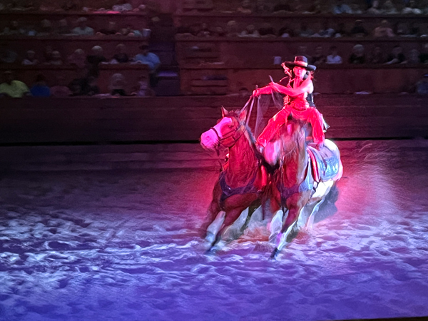 cowgirl on two horses