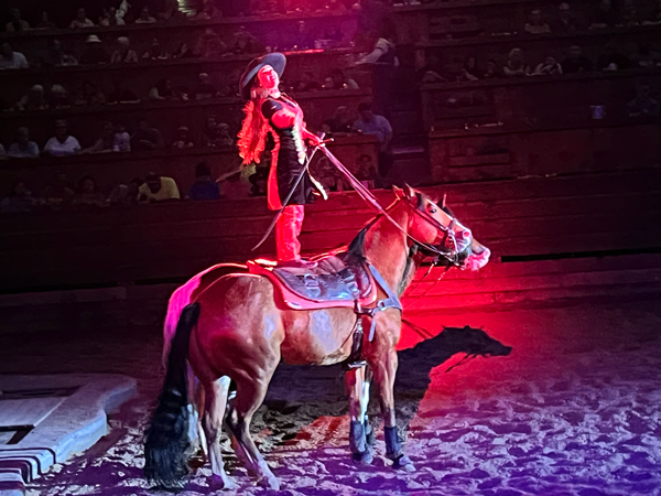 cowgirl on two horses