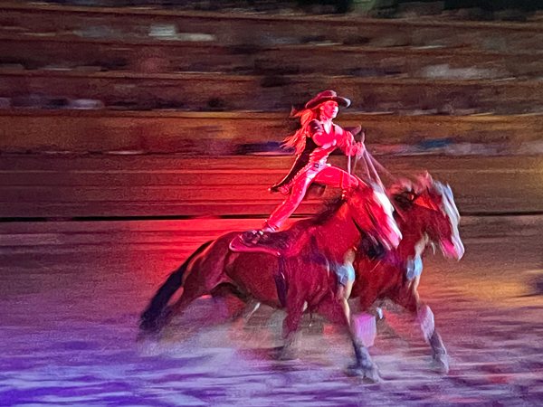 cowgirl on two horses