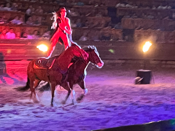 cowgirl on two horses