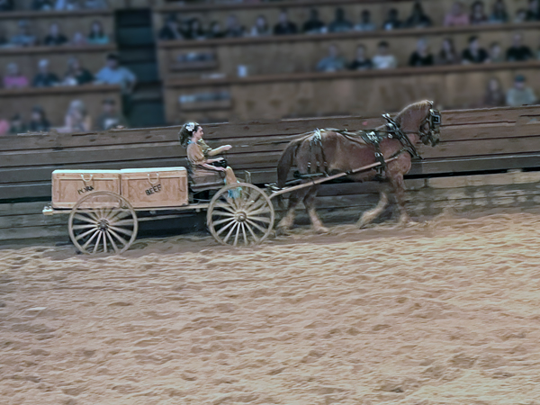 wagon train and horse
