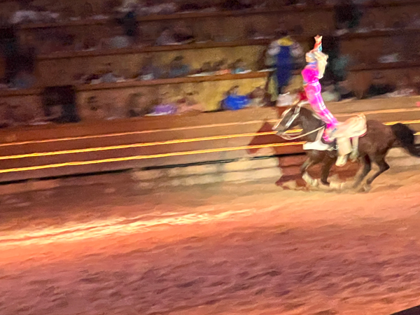 cowgirl on a horse