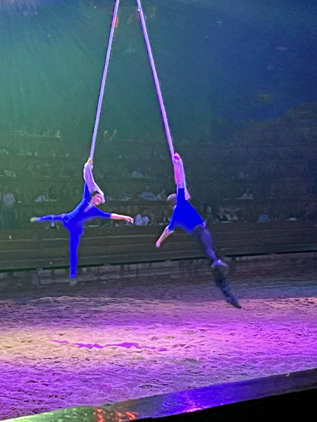 aerial act