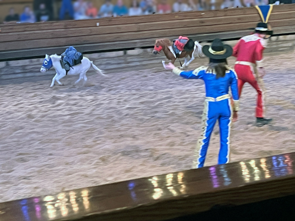 Small pony racing time