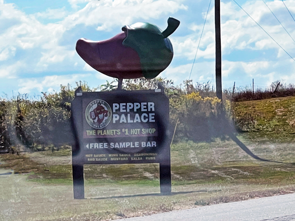Pepper Palace  and a big chile pepper