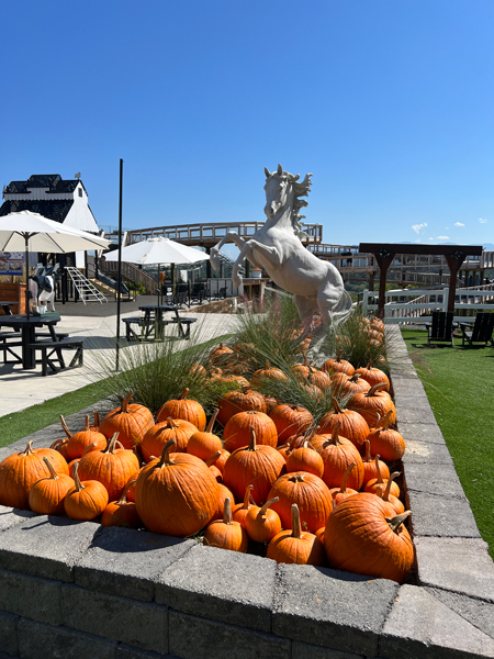 pumpins and a horse statue